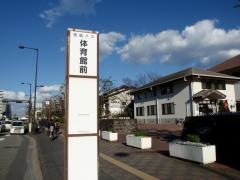 「体育館前」バス停留所