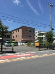木蓮