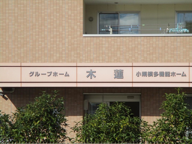 木蓮