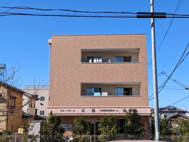 木蓮