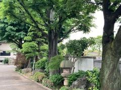 妙光寺