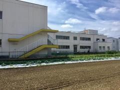 富沢幼稚園