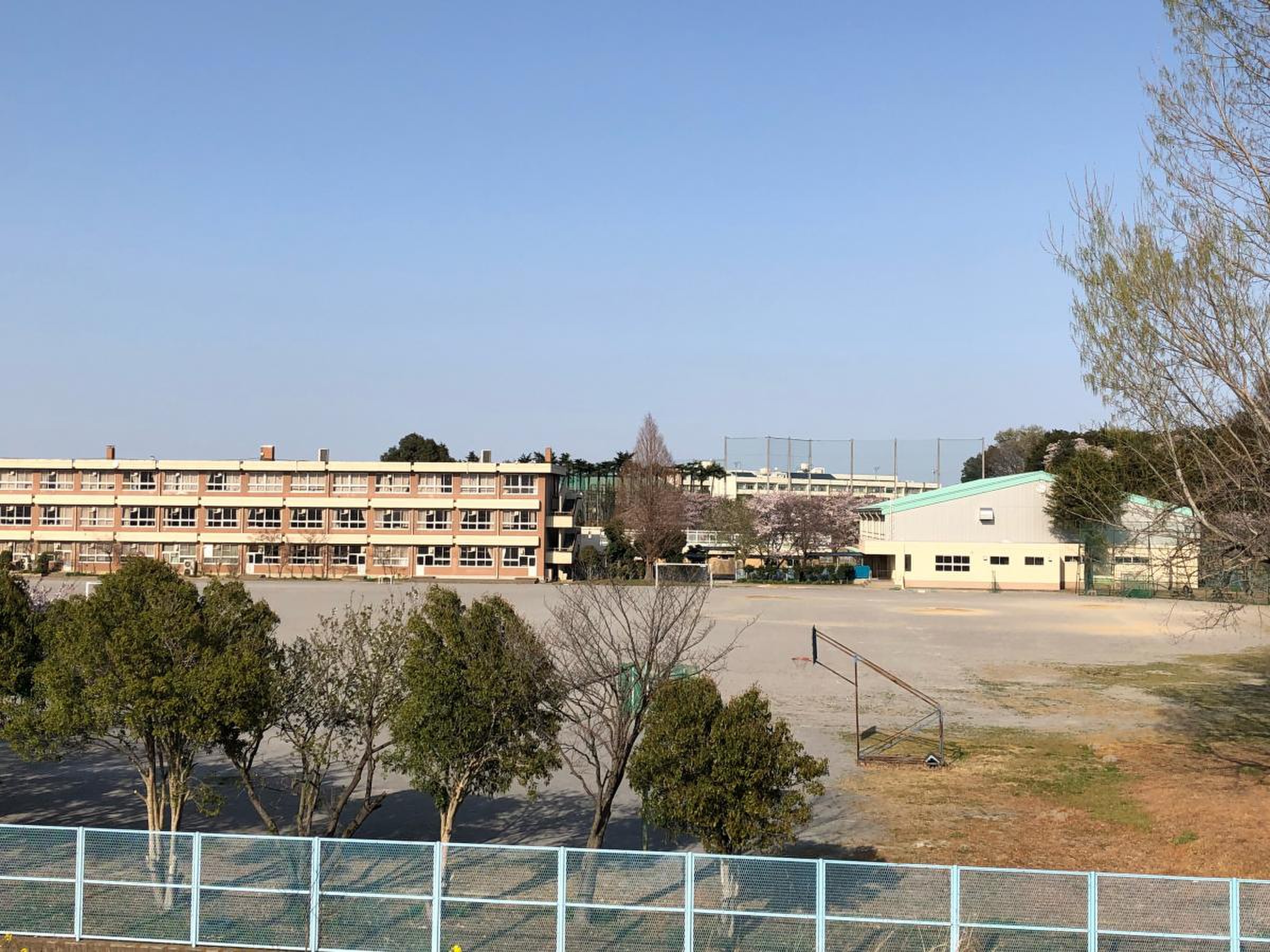 鴻巣西中学校の評判と真実！部活・制服・進学実績・学区を徹底検証【2026年最新】