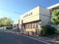 みぎはし医院