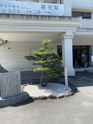 投稿写真2