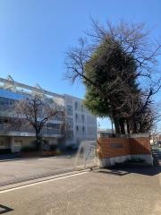 桜ケ丘小学校