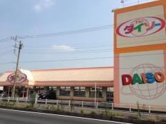 ザ・ダイソー　岩槻城南店