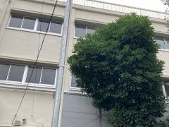 横浜市立南中学校