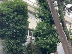 横浜市立南中学校