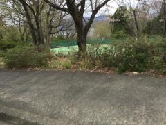 立野緑地