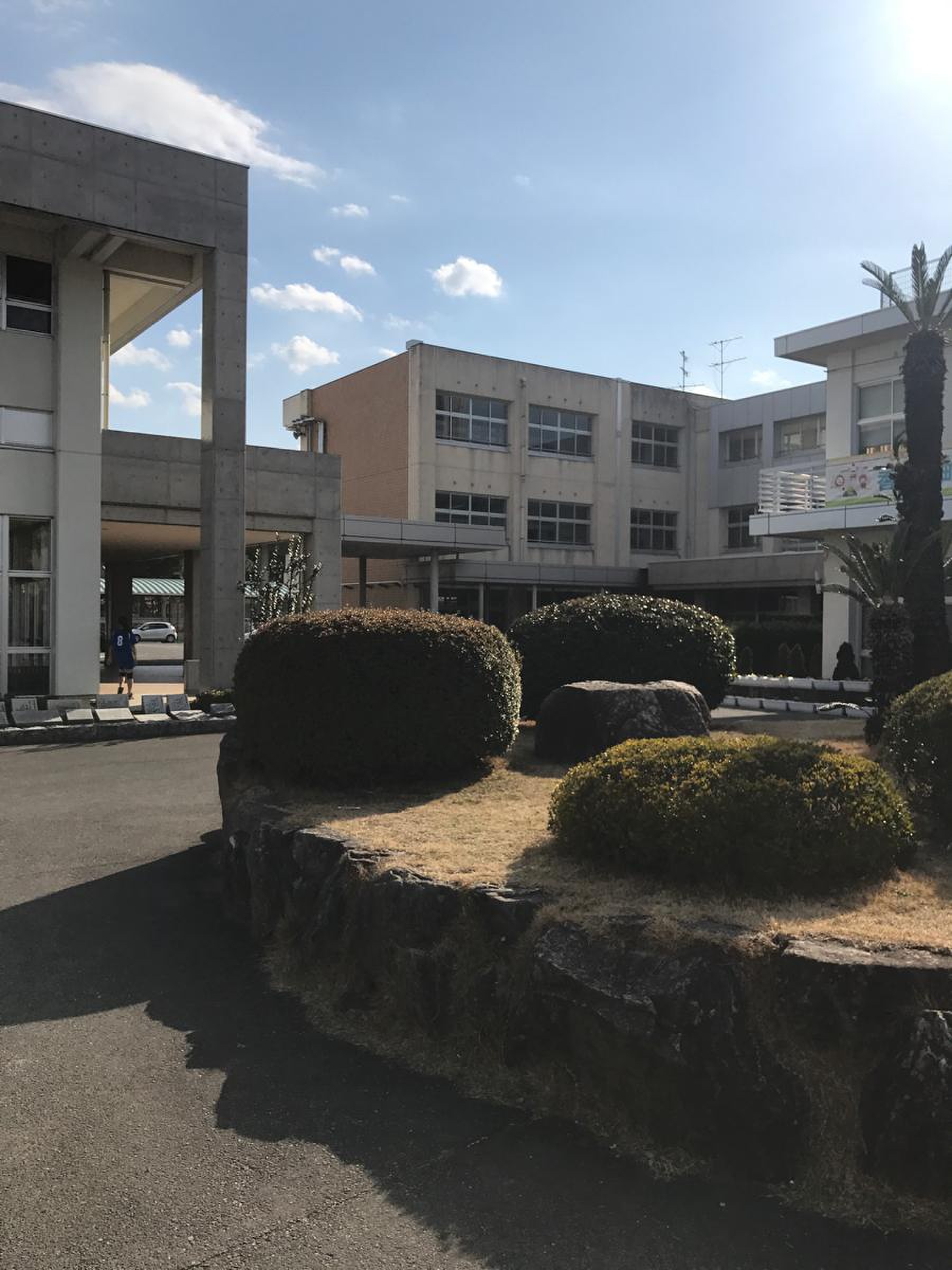 当時のメディア報道・掲載写真