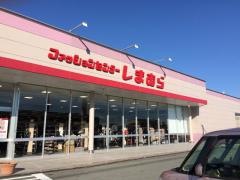 ファッションセンターしまむら　川副店