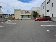 花川ヒフ科