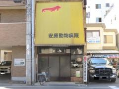 安原動物病院