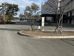 「大磯ロングビーチ」バス停留所