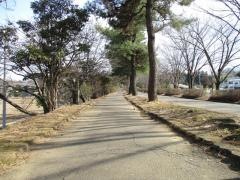 森林公園緑道