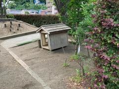 かさまの杜保育園