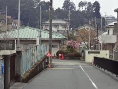 桜井南幼稚園