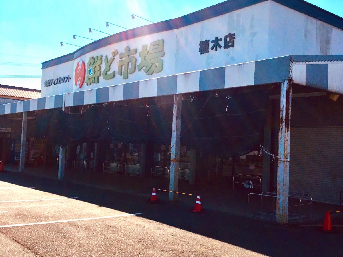 鮮度市場