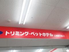 ペットショップグレイス河辺店