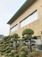 のむら内科消化器科クリニック
