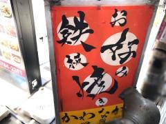 川中