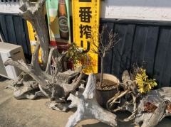 筑前