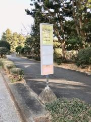 「辻堂海浜公園入口」バス停留所