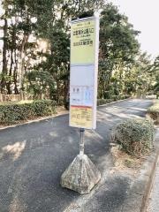「辻堂海浜公園入口」バス停留所