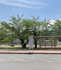 「情報芸術センター前」バス停留所