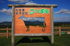 900草原