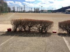 宇都宮市立晃陽中学校