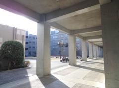 立教大学　新座キャンパス