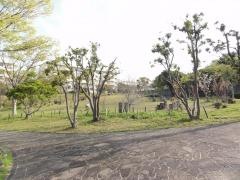 殿津谷公園