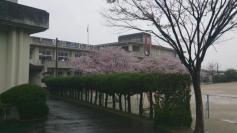 高田小学校
