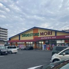 ドラッグストアモリ　本荘店