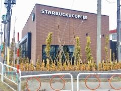 スターバックスコーヒー　青森中央店