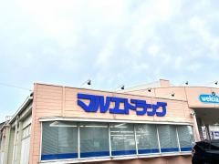 マルエドラッグ渋川石原店