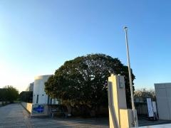 城西国際大学　千葉東金キャンパス