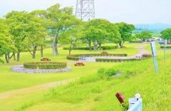 第9号美矢井橋河川緑地