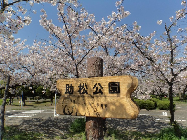 施設写真13