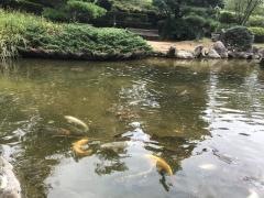 多可町余暇村公園