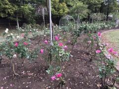 多可町余暇村公園