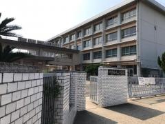 たちばな小学校