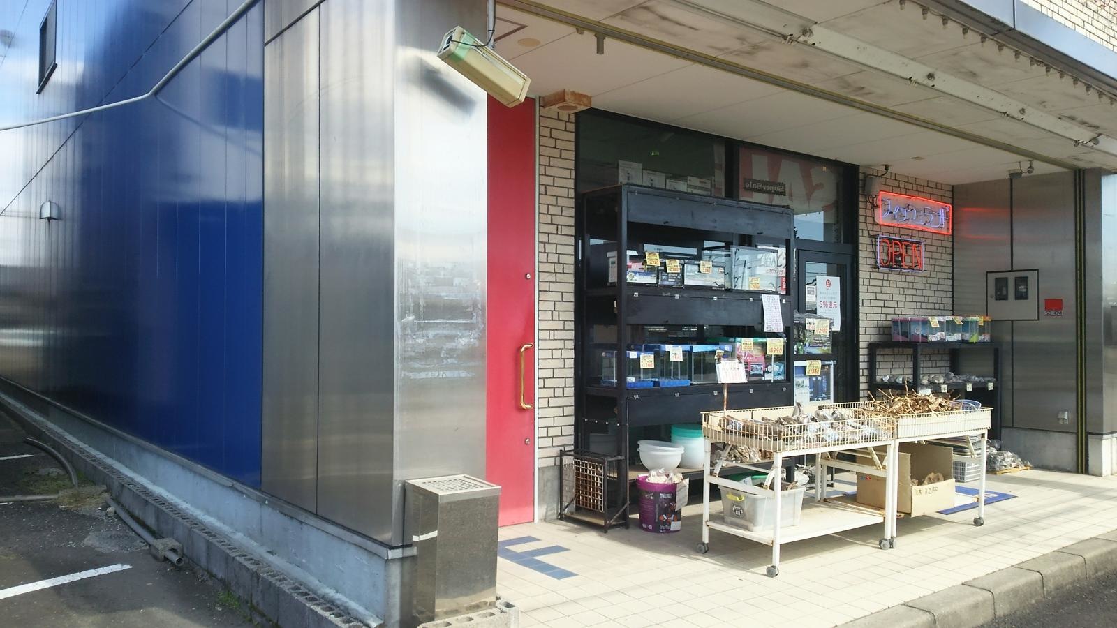 入口