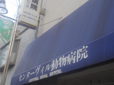 ドッグメディカル センターヴィル動物病院