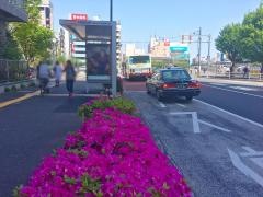 「中野区役所」バス停留所