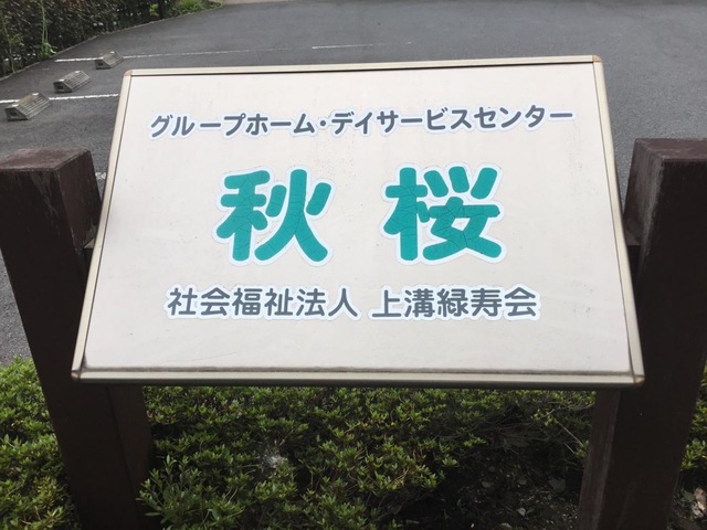 秋桜