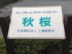 秋桜