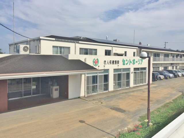 セントポーリア